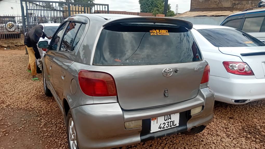 A picture of Vitz