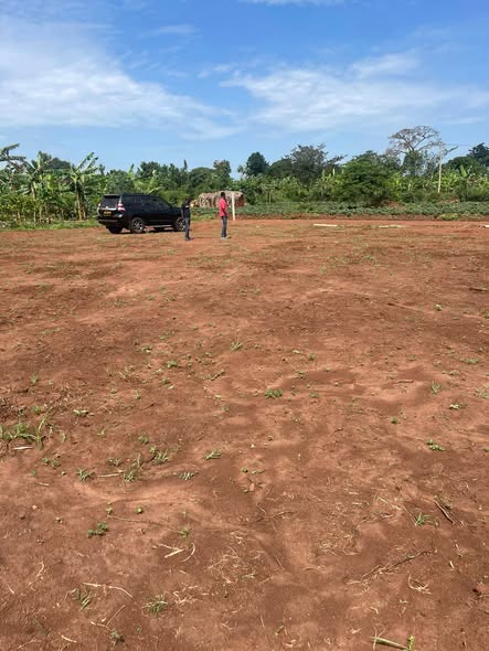 A picture of Plots for sale in Busiika Gaza 50Ft by 100Ft at