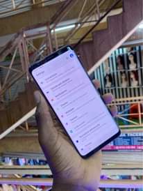 A picture of S9 