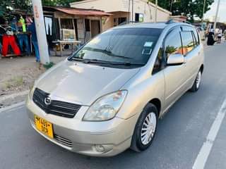 A picture of Spaciol new model