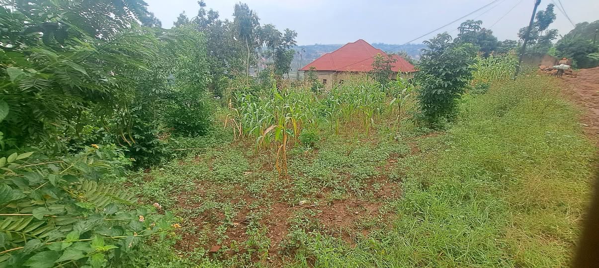 land
