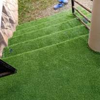 A picture of Grass carpets