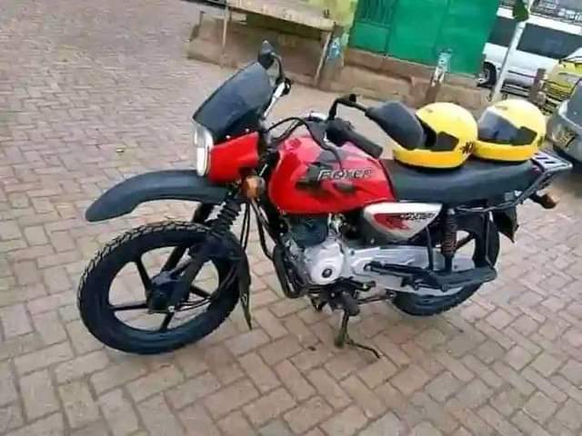 motorbikes