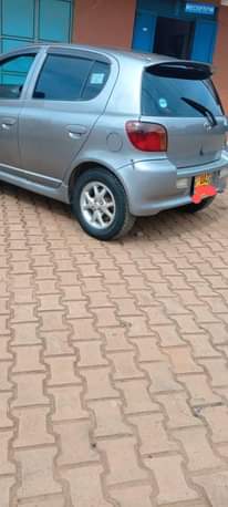 A picture of Vitz