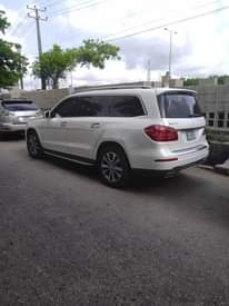 A picture of 2014 model WHITE GLS 450