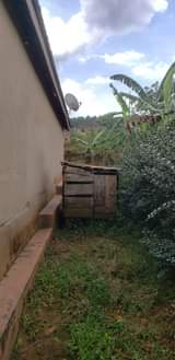 A picture of Quick Sale 50 100ft In Buloba