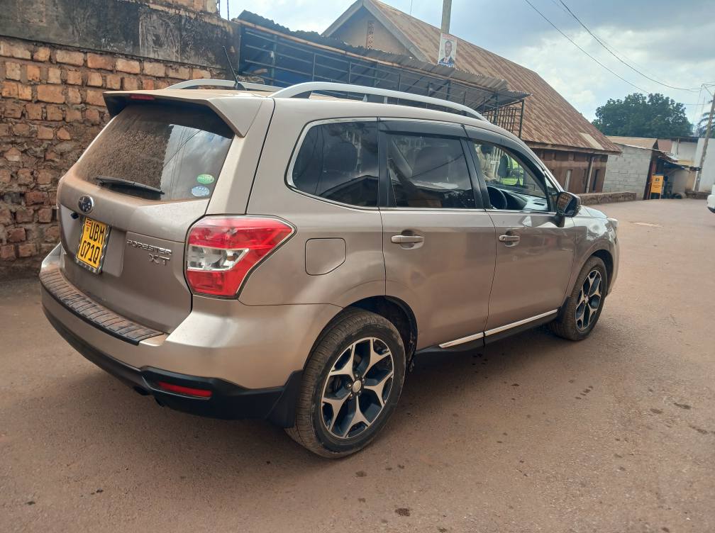 A picture of Xt forester