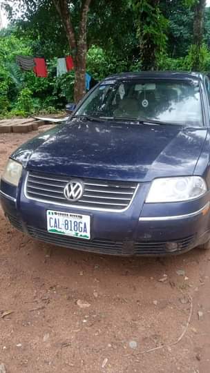 A picture of Volkswagen Passat 2004