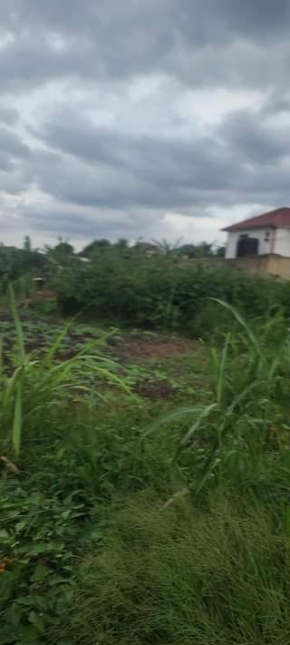 A picture of Plots for sale