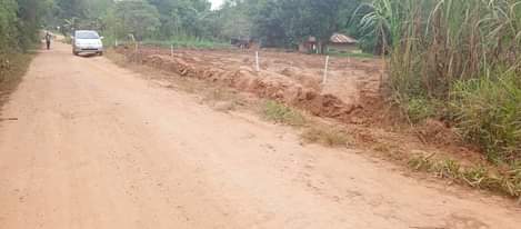 A picture of Rental plots