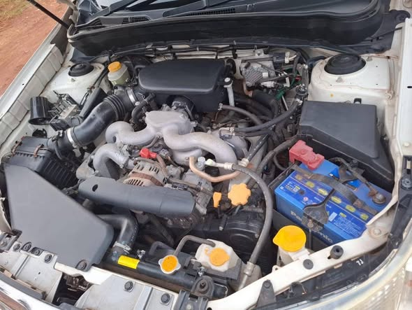 A picture of Subaru forester