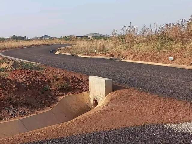 stands