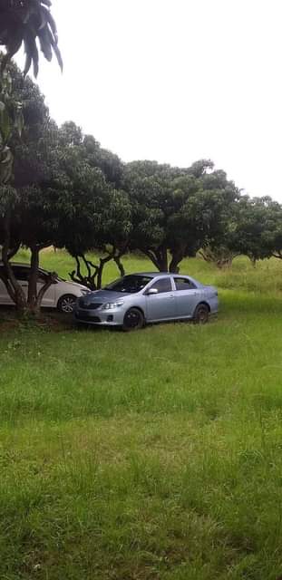 cheap cars durban