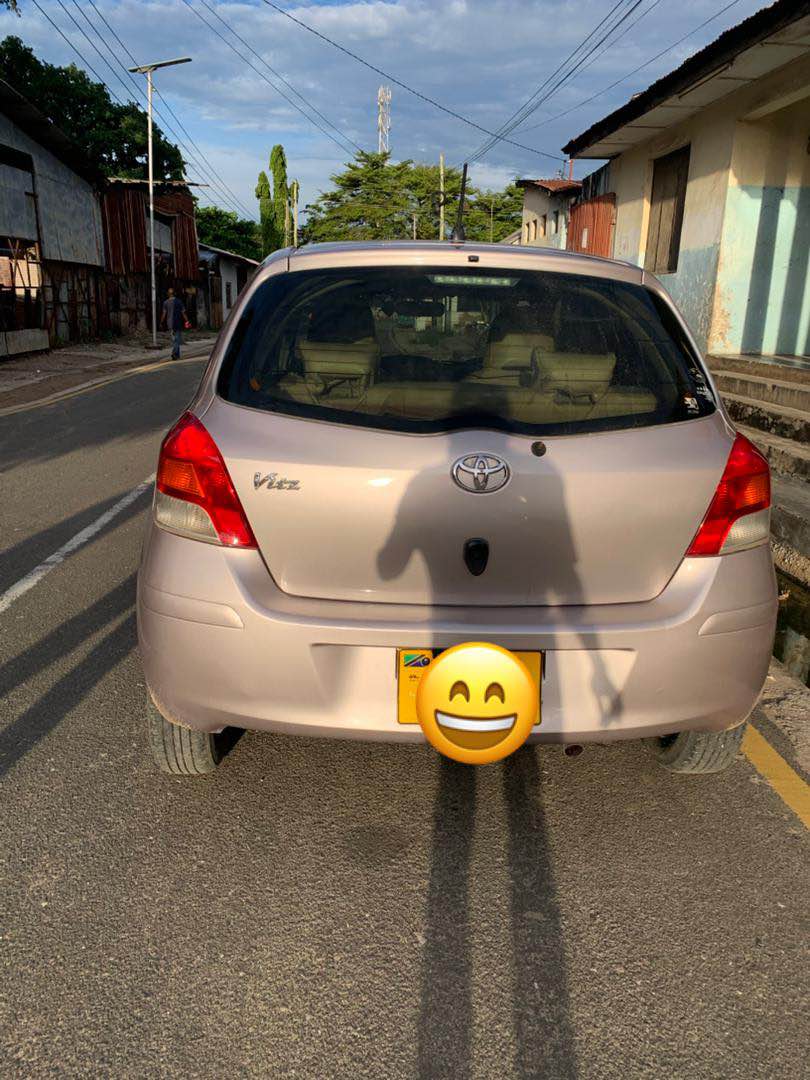 A picture of vitz