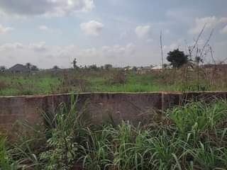 A picture of 200ft by 300ft fenced round for sale