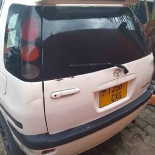 A picture of Raum 0628956439 Cc1300 Safari Popote Bei 2 6m Inatupwaaaa