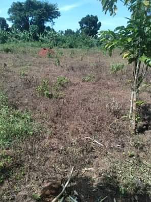 A picture of ANTI MR PROPERTY MANAGEMENT PLOT ON QUICK SALE PRICE REDUCED