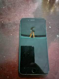 Apple V.