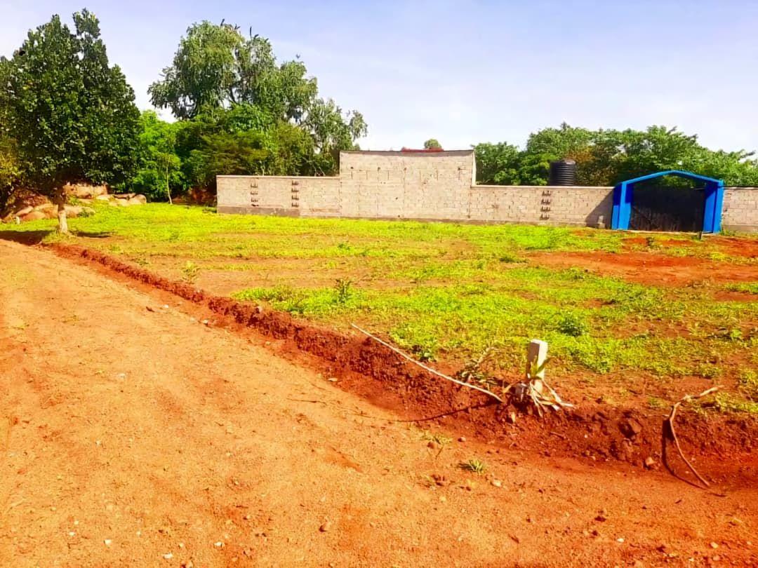 A picture of PLOT