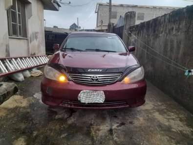 A picture of 08114560910 Serious buyer only is needed to call my number