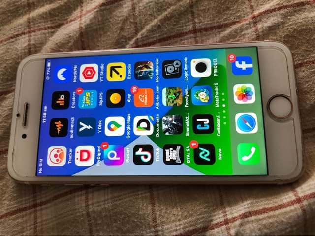 Apple P.