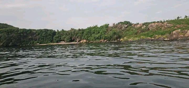 A picture of 40 ACRES ISLAND ON SALE AT MUKONO UGANDA
