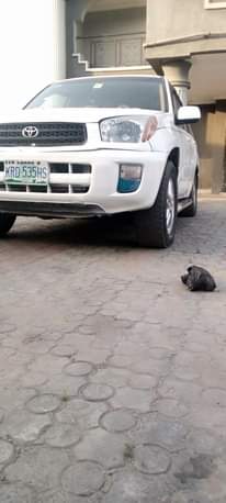 A picture of RAV4