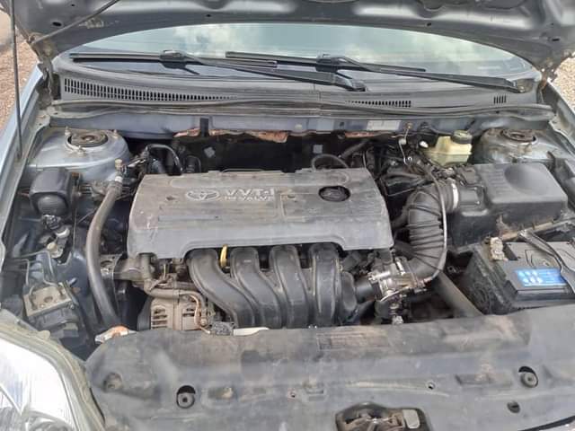 A picture of Toyota Corolla wagon