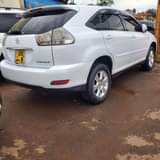 A picture of Harrier 2006 39m