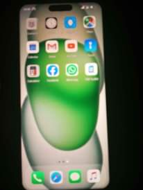 A picture of Nauza iPhone 15 pro max copy