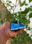 A picture of Vivo y20 Ram 4 gb 64 Finger fac id ok