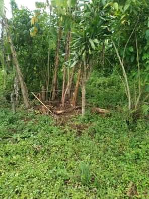 A picture of ANTI MR PROPERTY MANAGEMENT PLOT FOR SALE LOCATED AT KASANJE