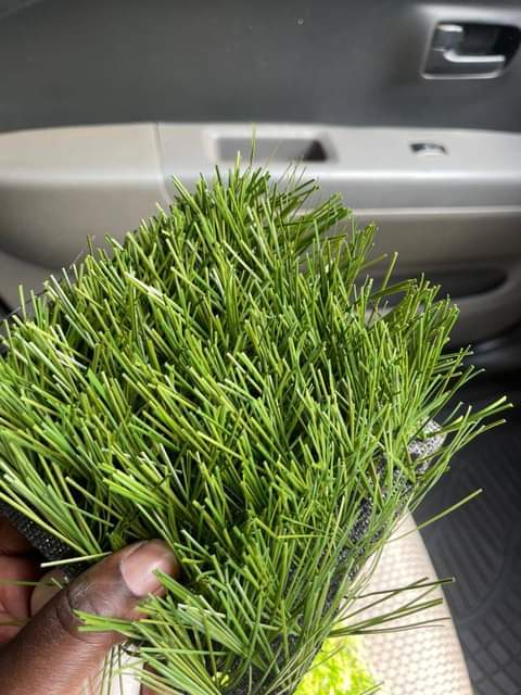artificial turf