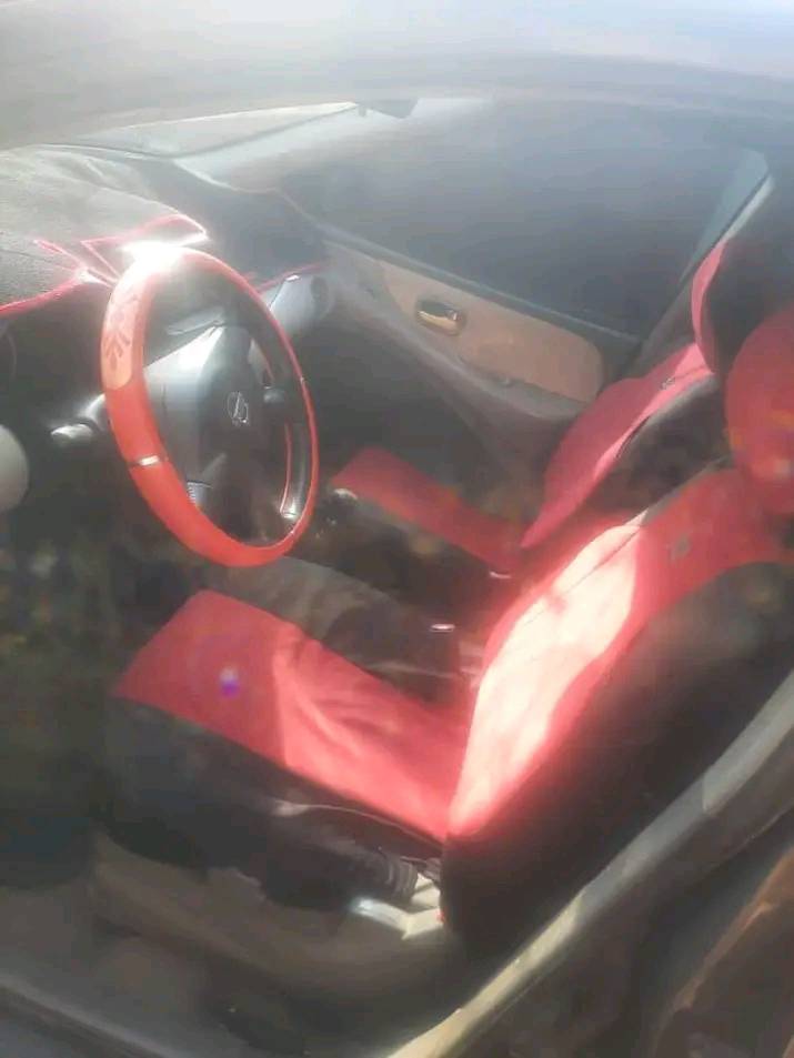 A picture of Ameral Tino for sale