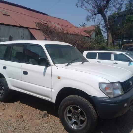 used toyota prado