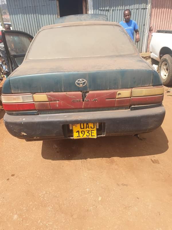 Matovu C.