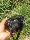 A picture of Canon D 60