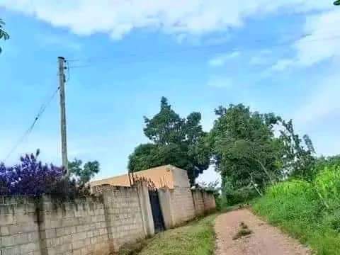 A picture of Land