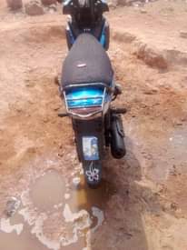 A picture of Tvs ruber ruber
