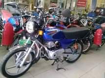 Boxer M.