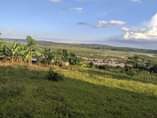 A picture of Big land for sale 2 hectors in Rwabutenge Gahanga sector