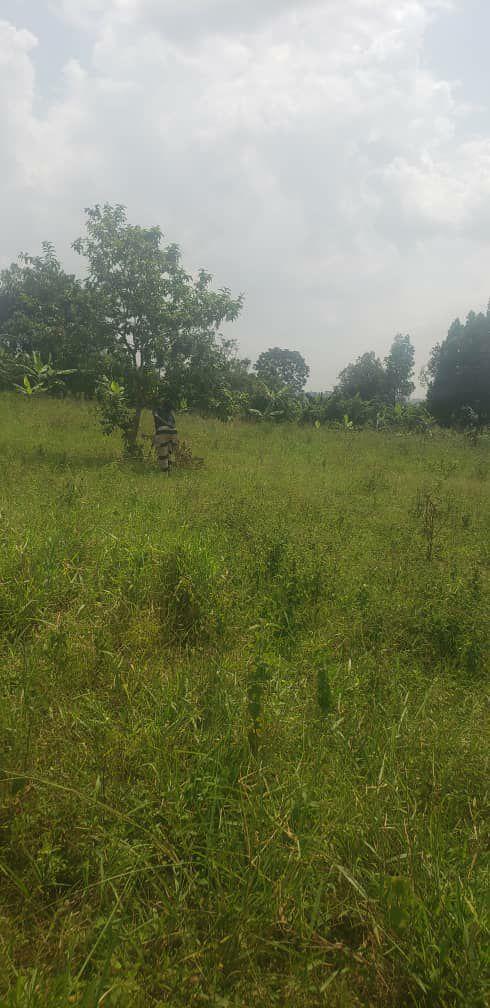 A picture of Land
