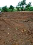 A picture of Majigye Ugachick plots for sale
