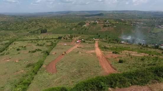 A picture of 50 100 tittled plots on sale