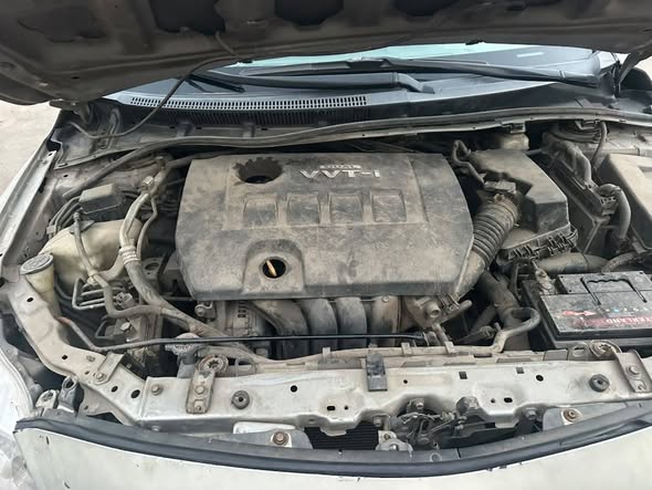 A picture of Toyota Corolla 2010