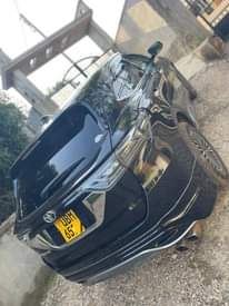 A picture of Harrier 2015 2014