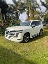 classifieds recent import