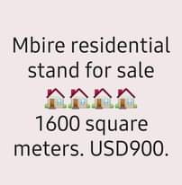 stands