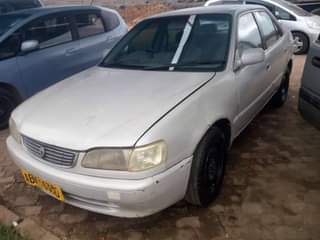 used toyota corolla