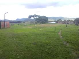 stands